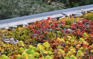 the cost of Dimmer green roof installation