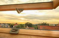 rated Dimmer roof window companies